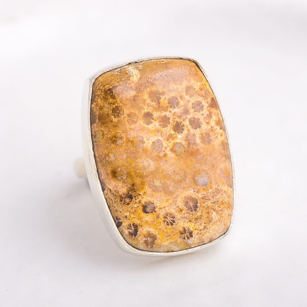 Luminous Ring ◇ Fossilized Coral ◇ Size 7
