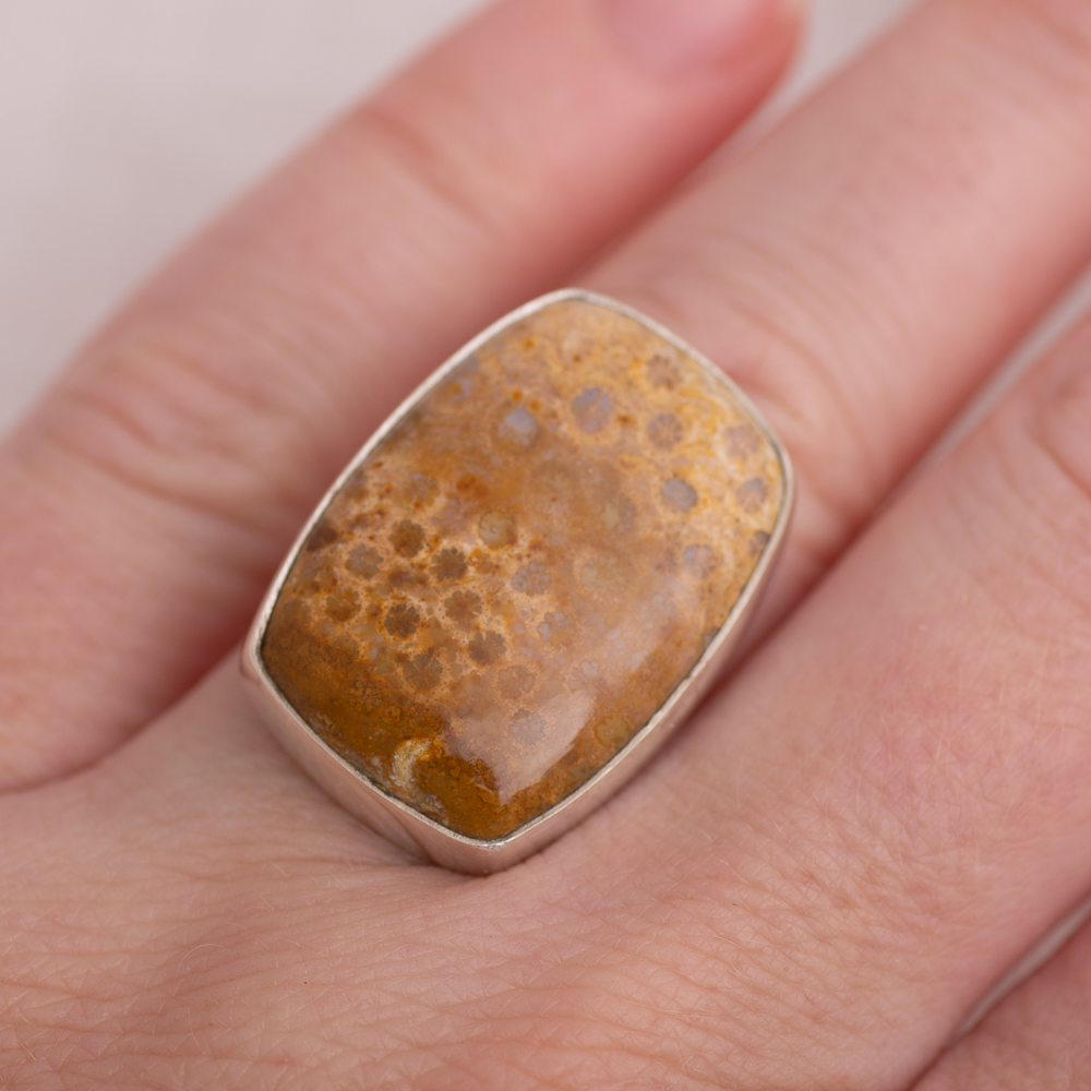 Luminous Ring ◇ Fossilized Coral ◇ Size 7