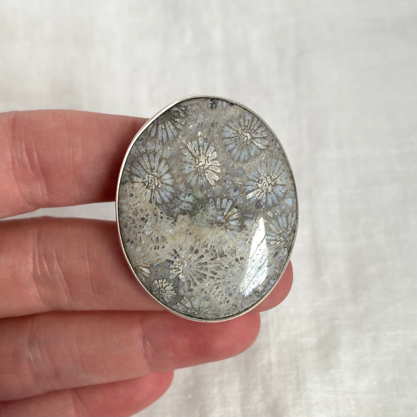 Fossilized Coral Ring - Size 7.75