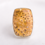 Luminous Ring  ◇ Fossilized Coral ◇ Size 7