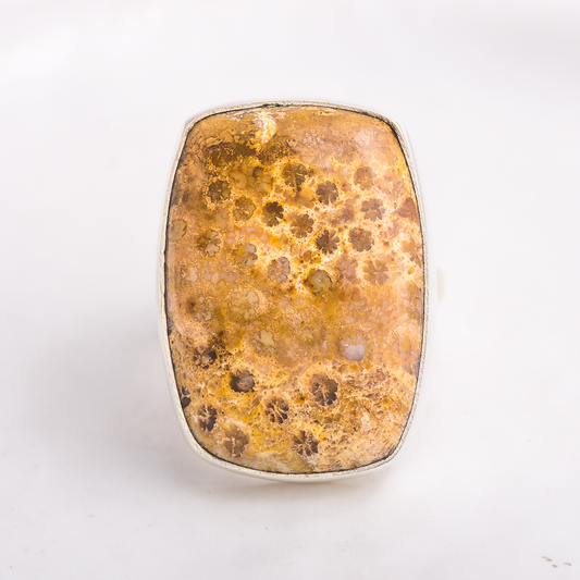 Luminous Ring  ◇ Fossilized Coral ◇ Size 7