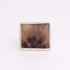 Luminous Ring ◇ Dendritic Agate ◇ Size 6.5